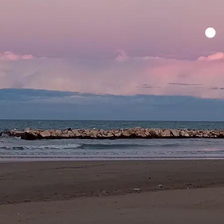 Aurora * פרנקווילה אל מארה